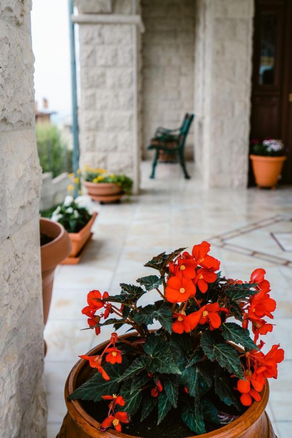 Veria Panorama Luxury Suite With Garden. Exteriör bild